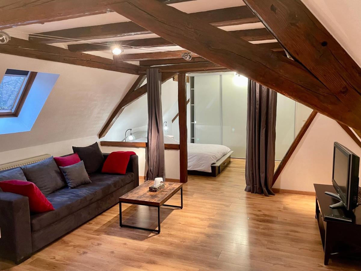 Le Petit Linck - Typique Au Coeur De Colmar Apartment Exterior photo
